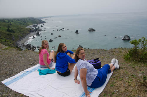 High Bluff Overlook Picnic Area