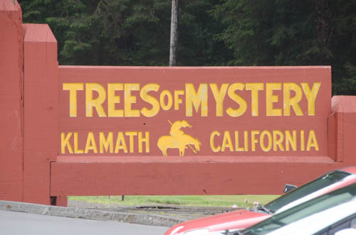 Trees of Mystery