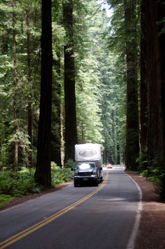 Prairie Creek Redwood State Park
