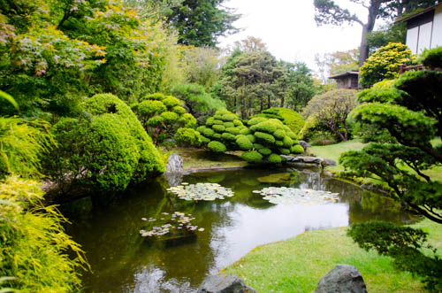 Japanese Tea Garden