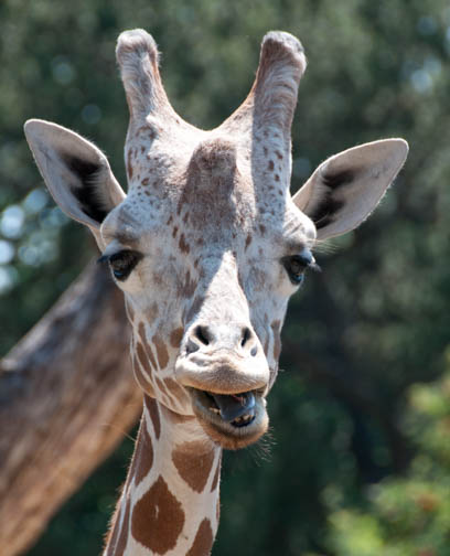 Boise Zoo