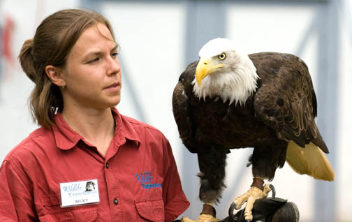 Retile Gardens Eagle