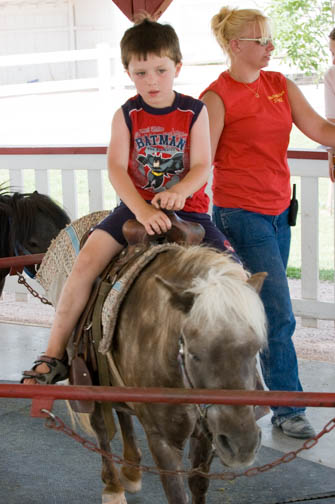 Old McDonalds Farm Pony Riding