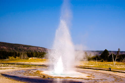 Norris Geyser Basin