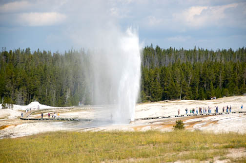 Geyser Basin