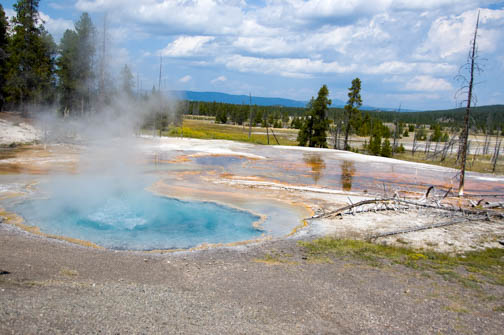 Geyser Basin