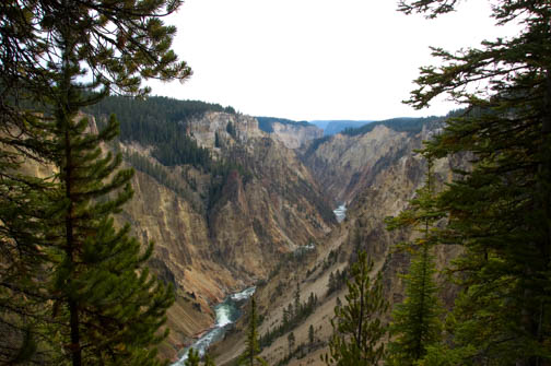 Grandcanyon of Yellowstone