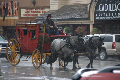 Wagon Horse