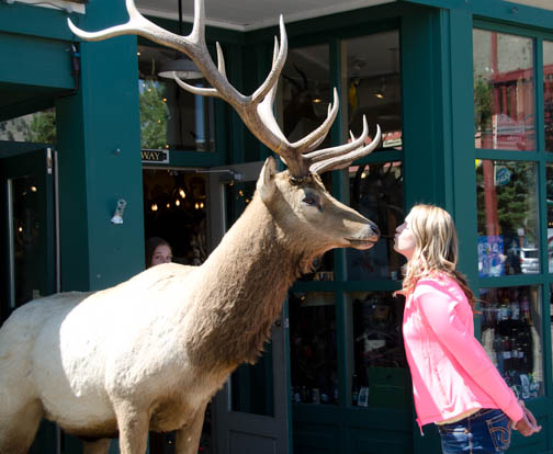 Kissing Elk