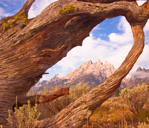 Tetons