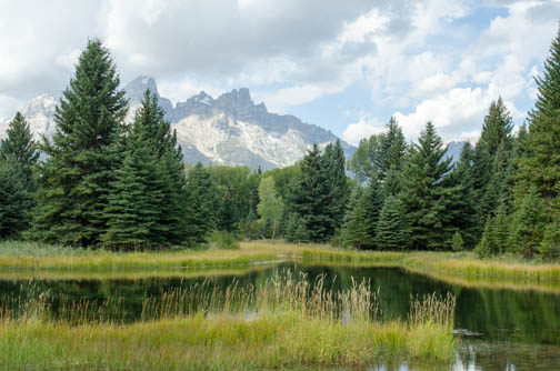 Schwabacher Landing
