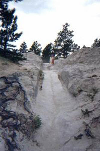 Oregon Trail Wagon Ruts